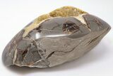 7" Polished, Crystal Filled Septarian Nodule - Utah - #200208-2